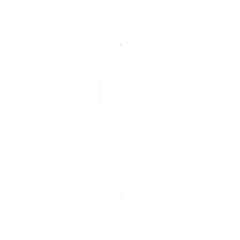 Wade Hampton logo